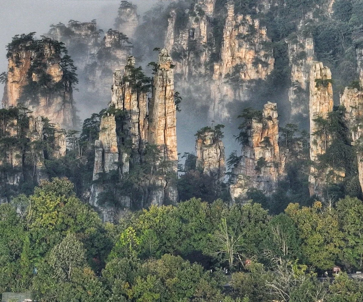 West Sea Forest of Peaks in Tianzi Mountain Nature Reserve